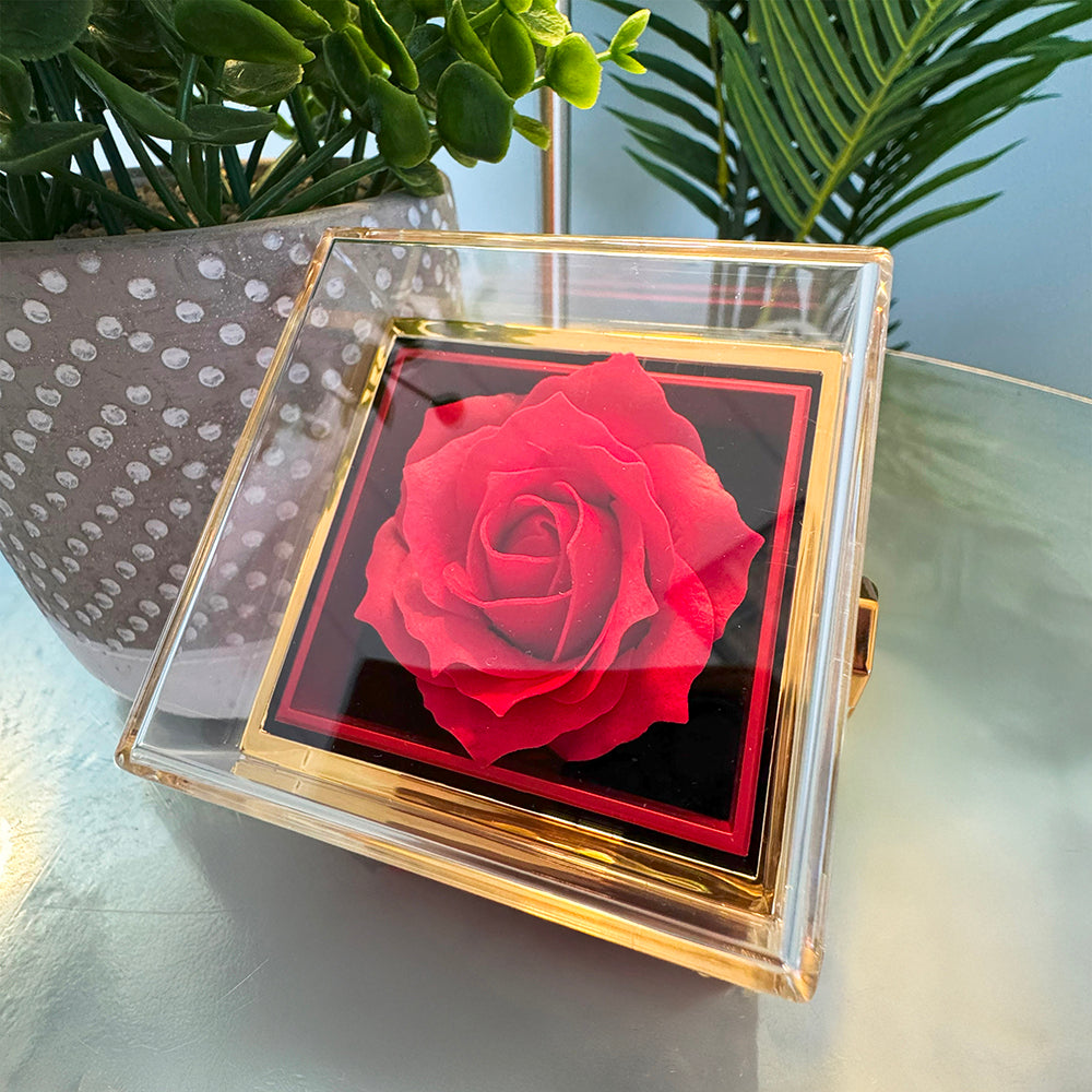 Premium Love Knot Necklace - Rotating Rose Gift Box
