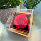 Premium Love Knot Necklace - Rotating Rose Gift Box